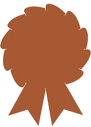 Bronze Award