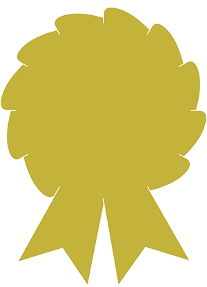 Gold Award