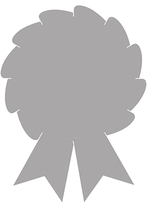 Silver Award